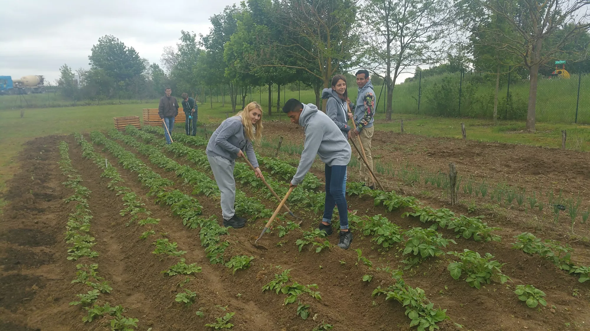 Activités potager collégiens 2018