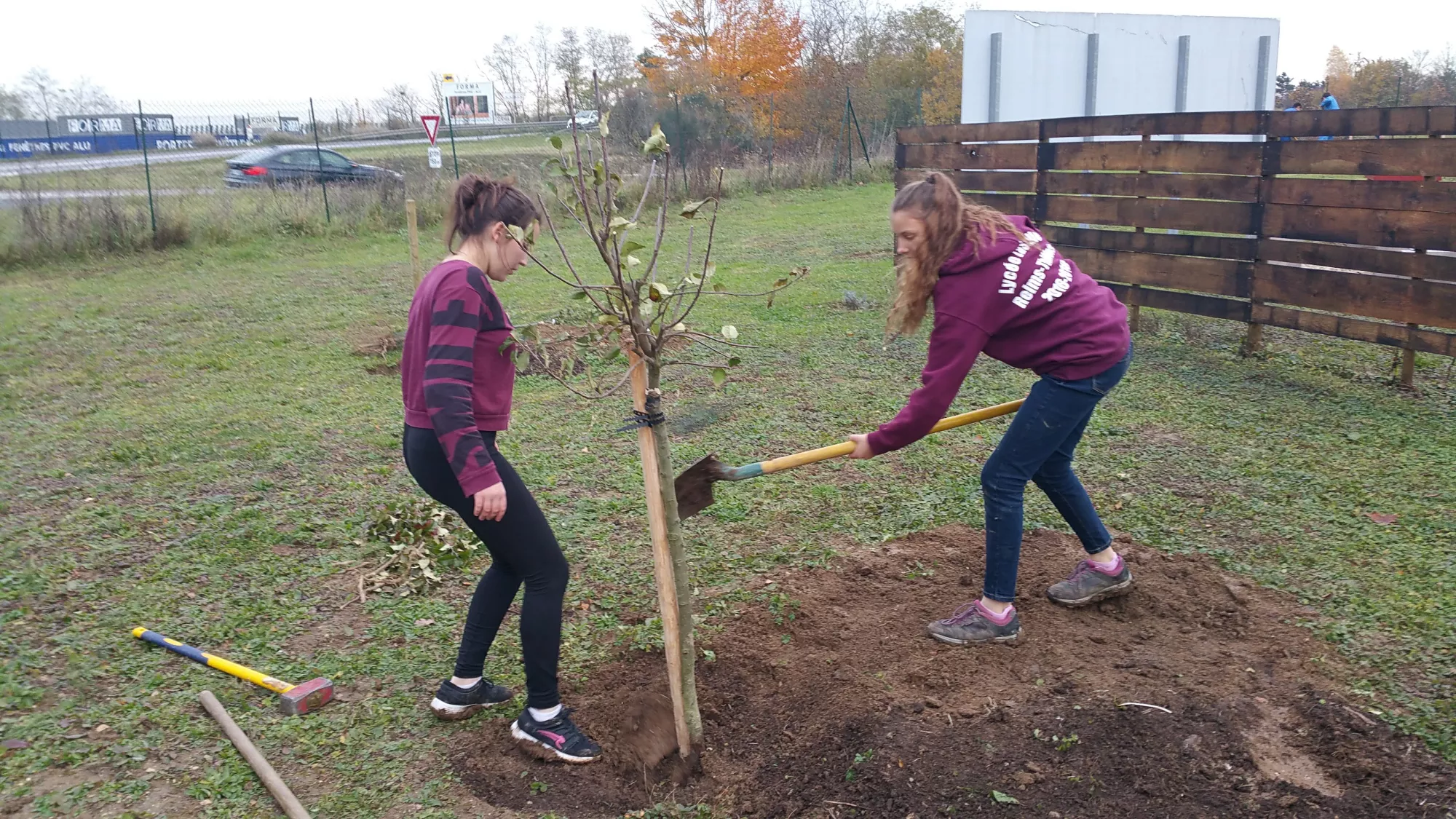 Activités potager collégiens 2018