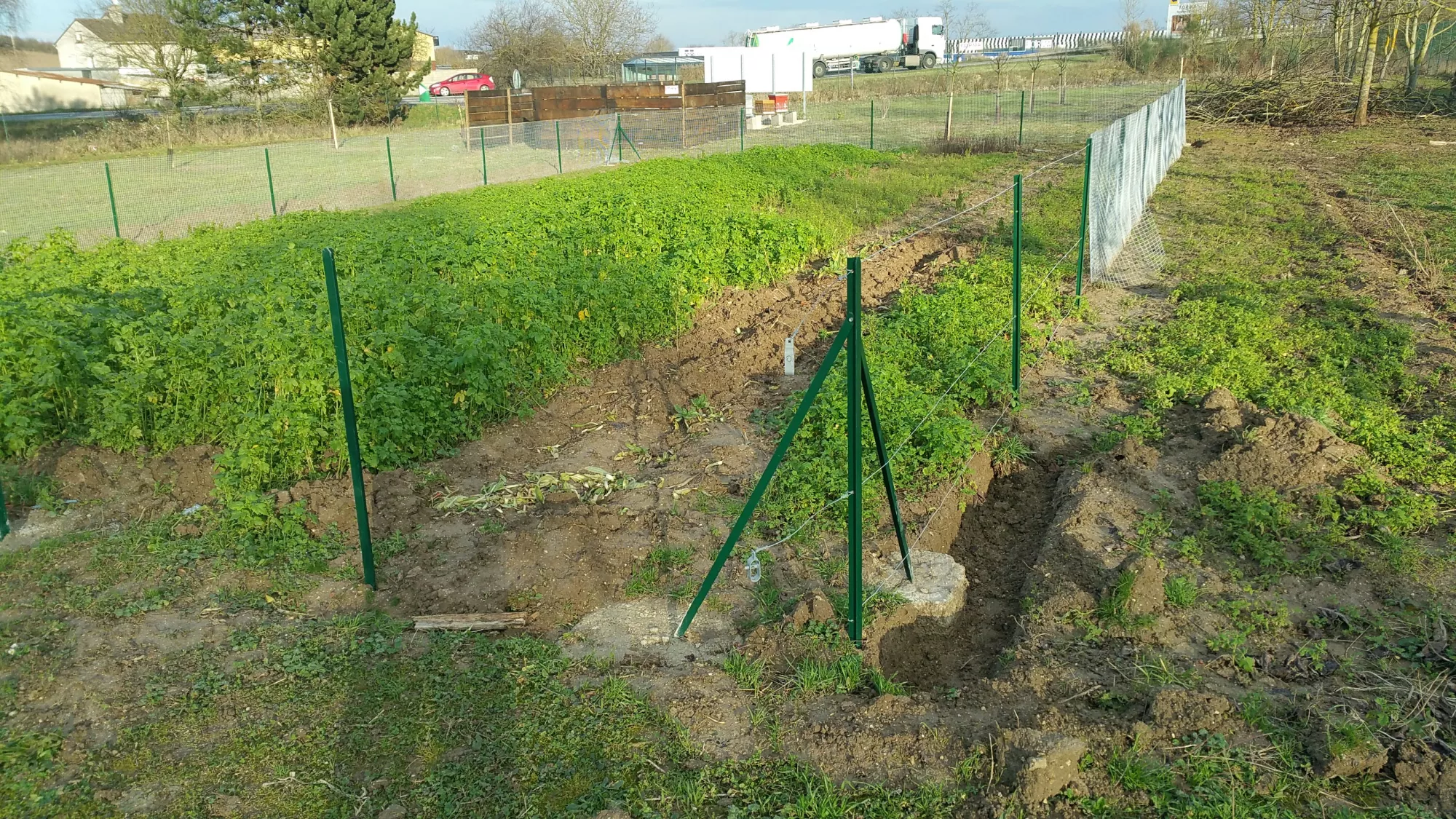 Activités potager collégiens 2018