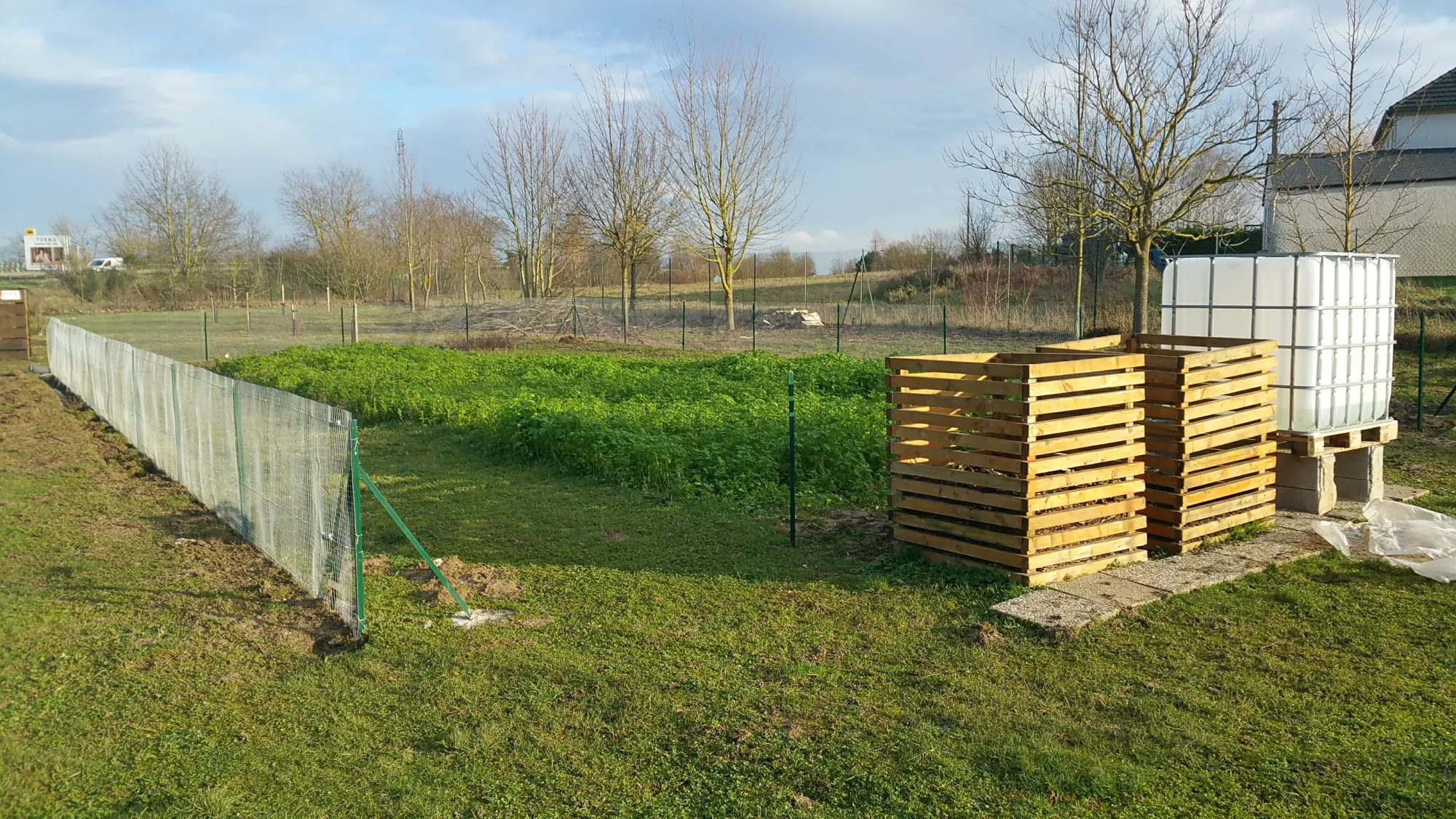 Activités potager collégiens 2018