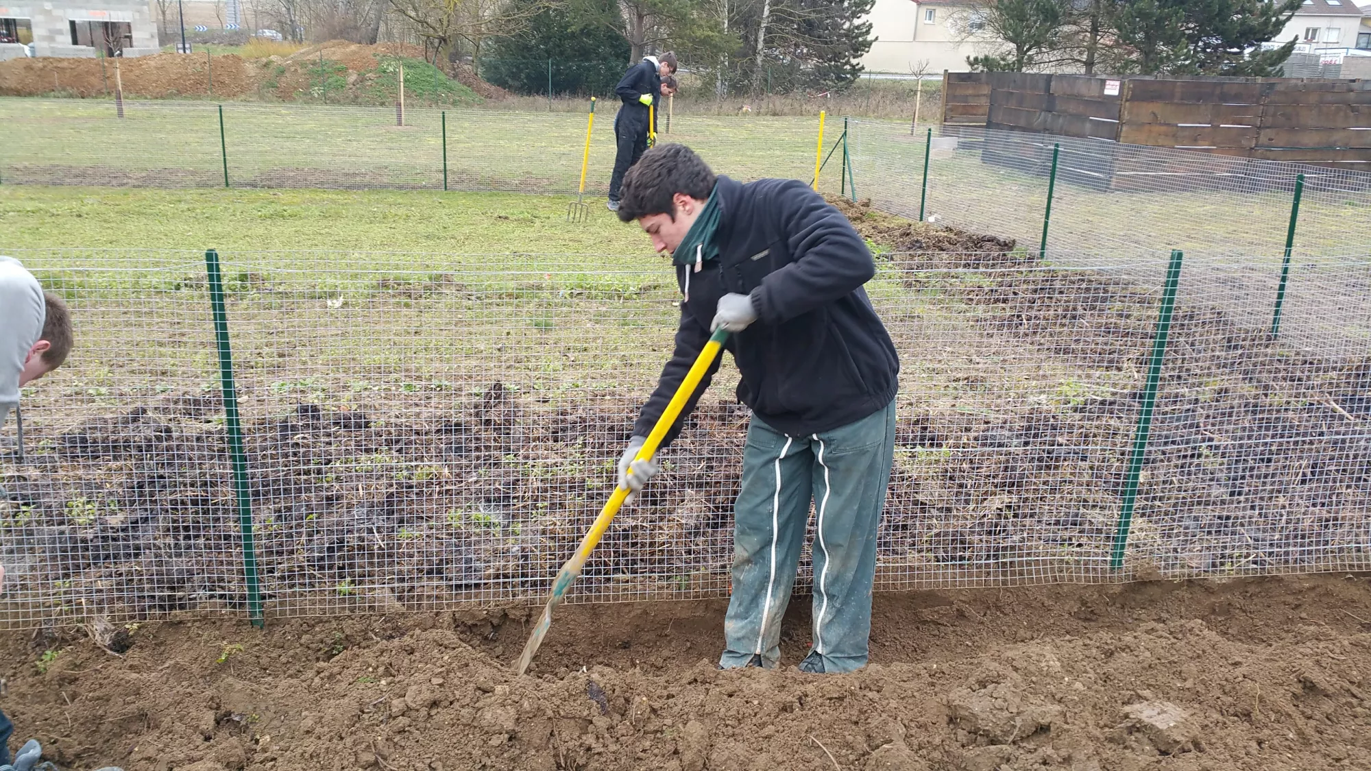 Activités potager collégiens 2018
