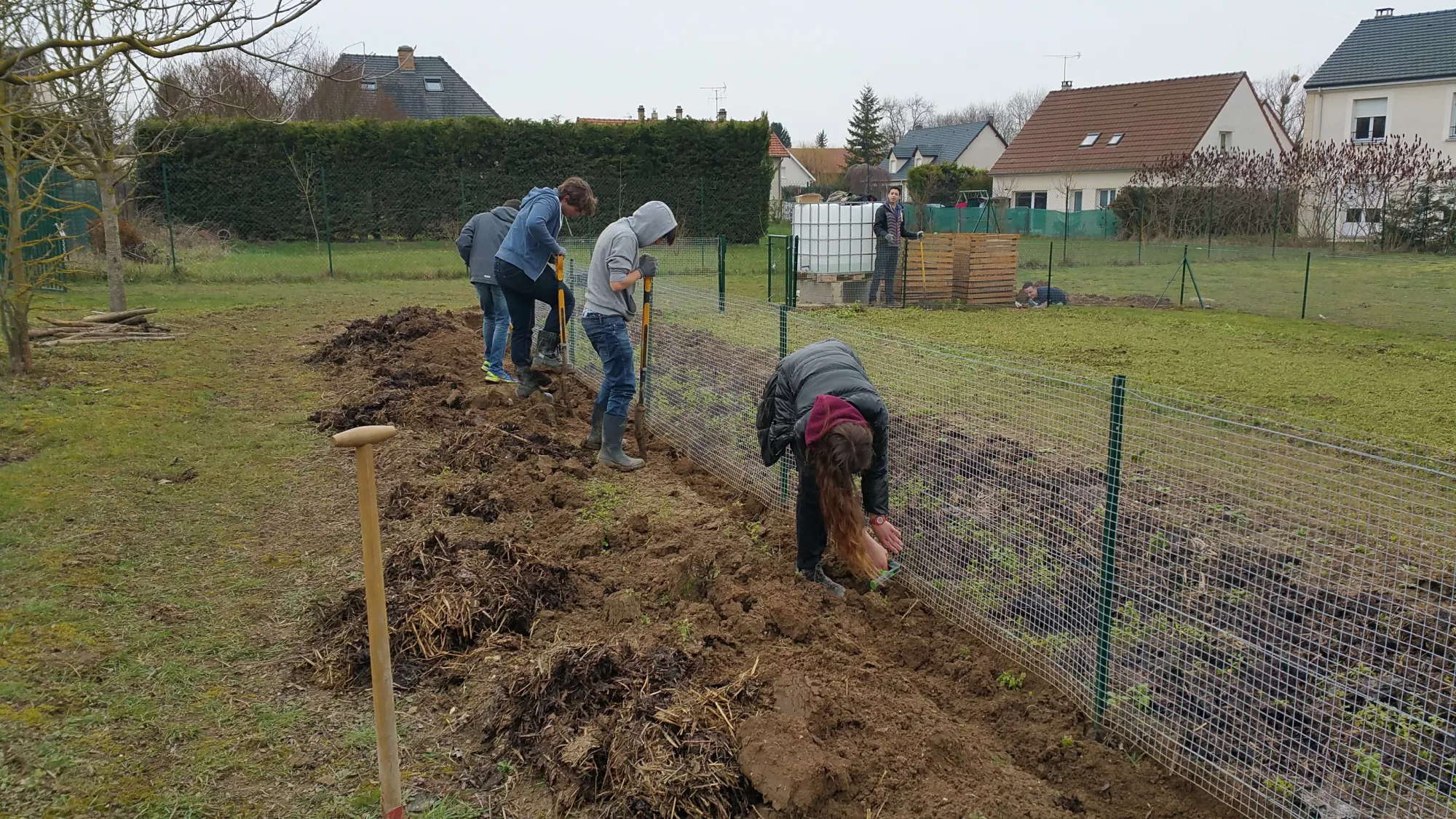 Activités potager collégiens 2018