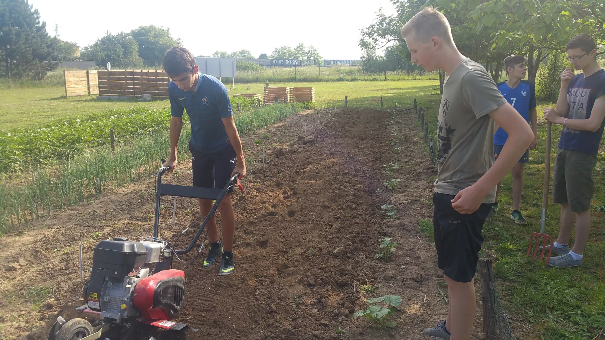 Activités potager collégiens 2018
