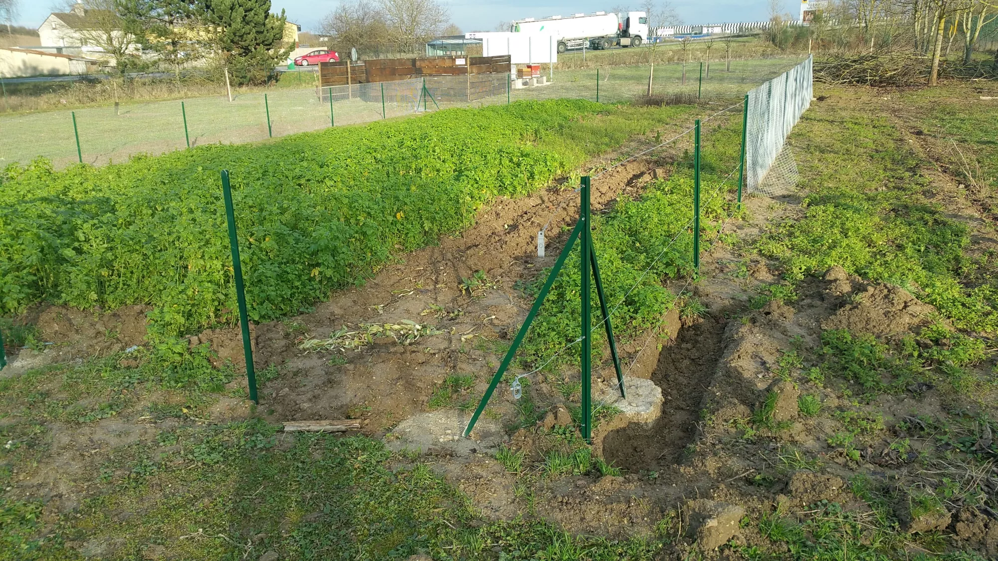 Activités potager collégiens 2018