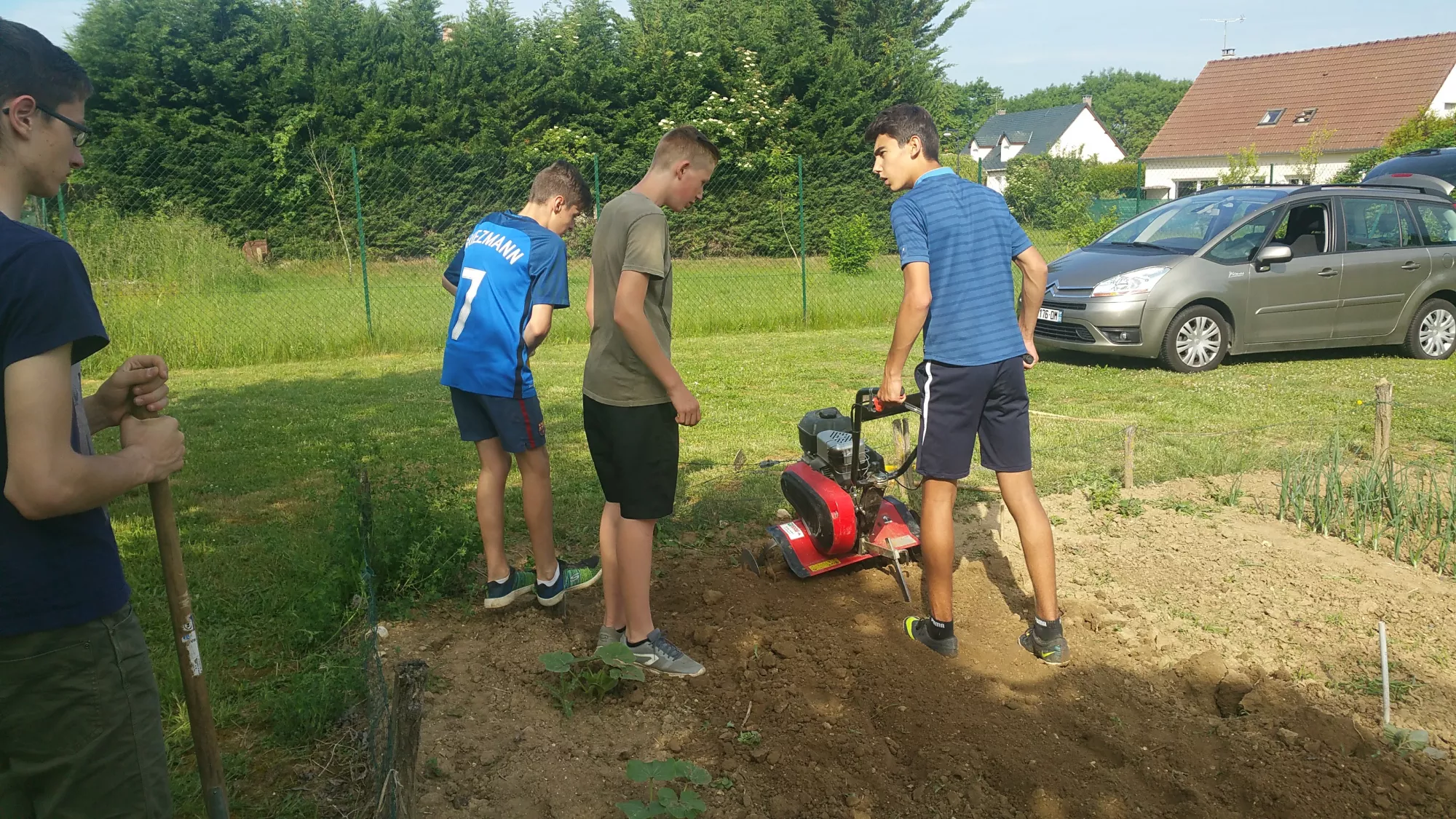 Activités potager collégiens 2018