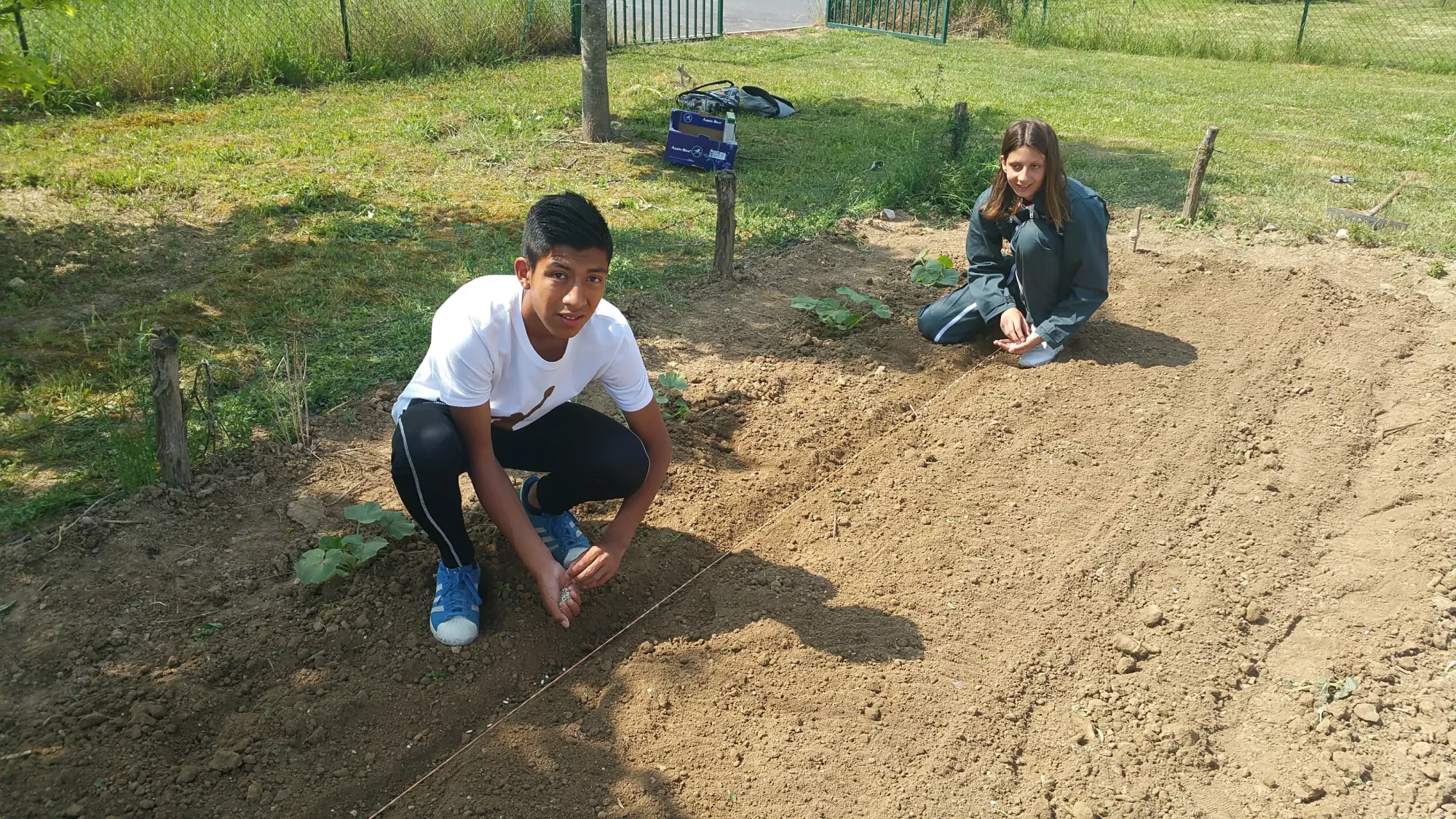 Activités potager collégiens 2018