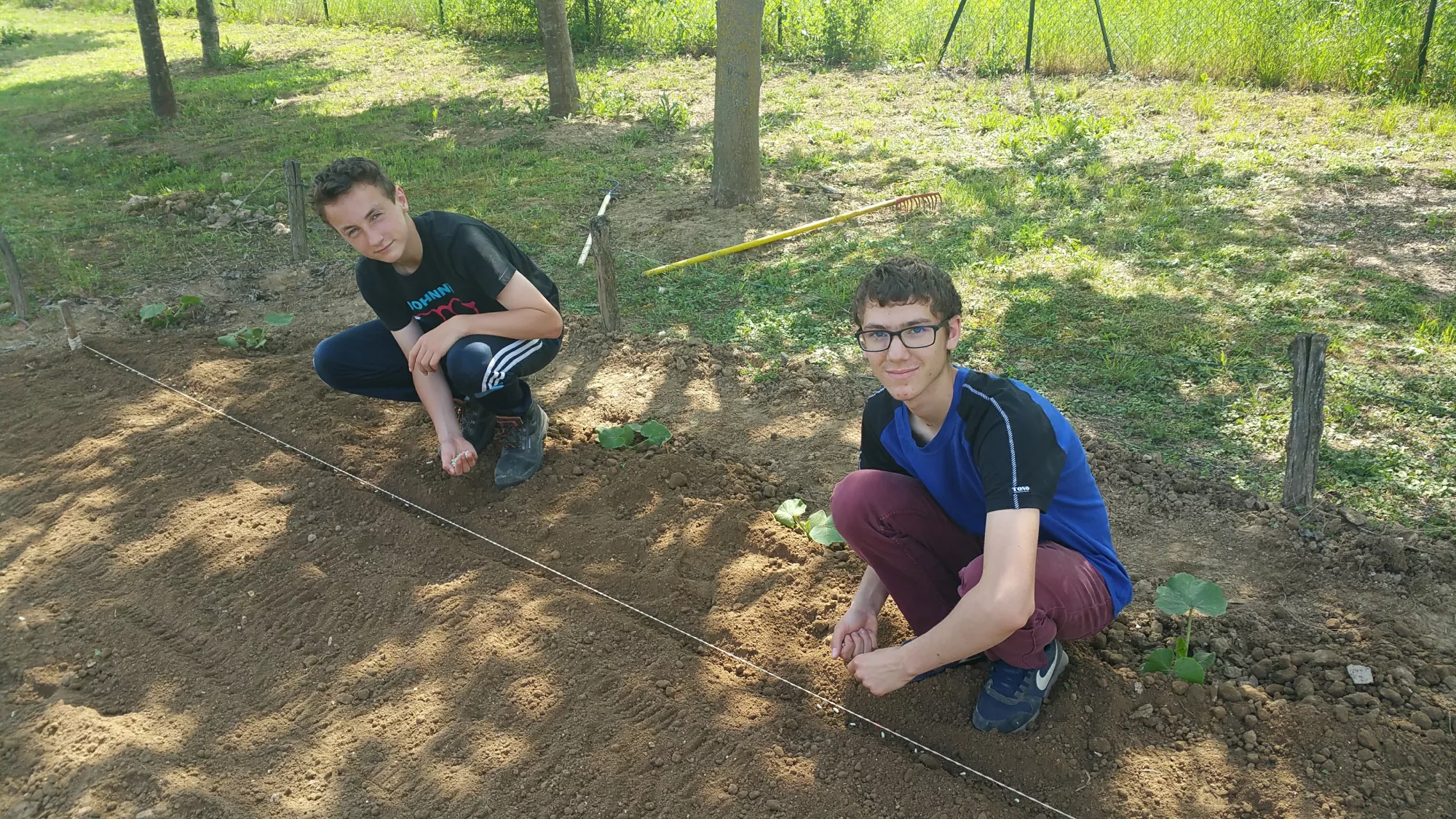 Activités potager collégiens 2018