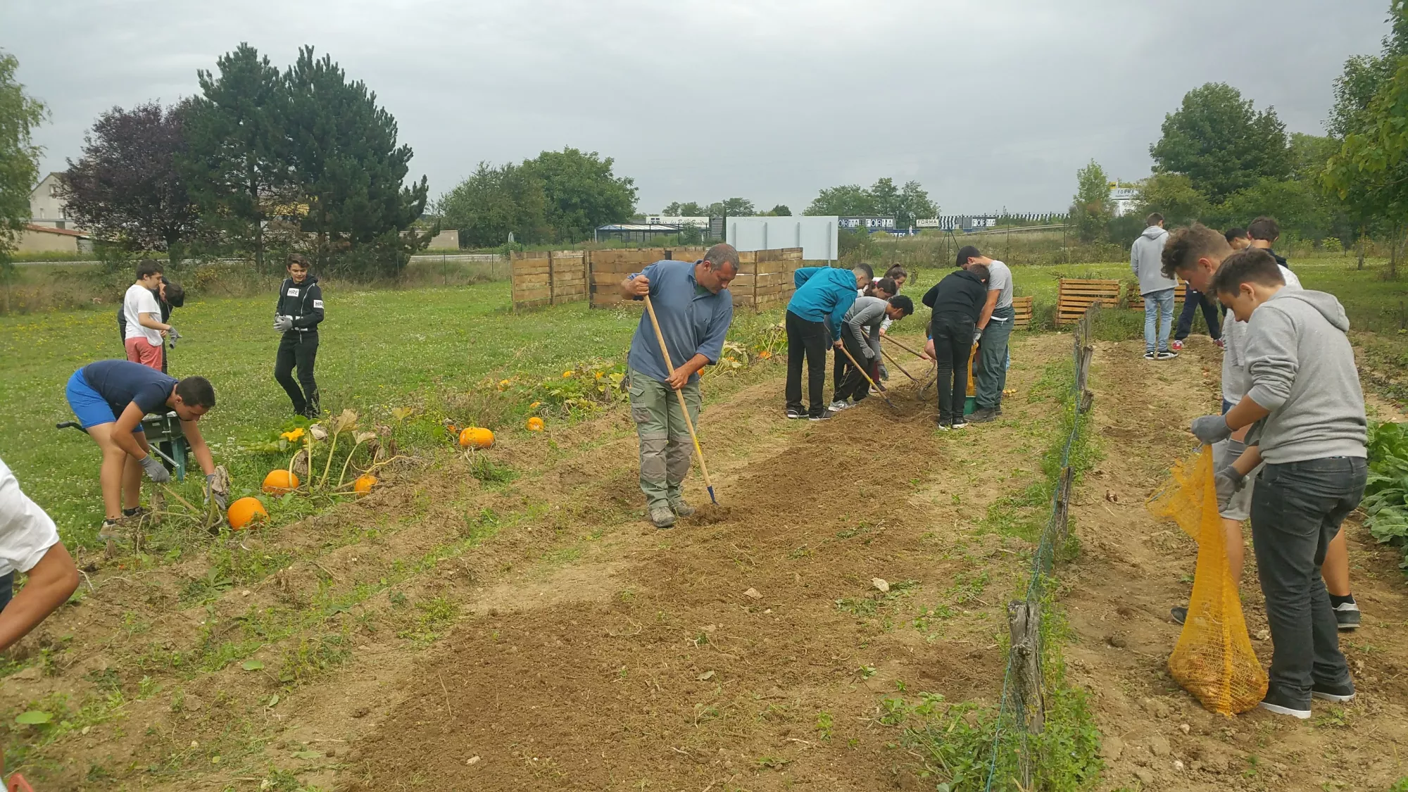 Activités potager collégiens 2018
