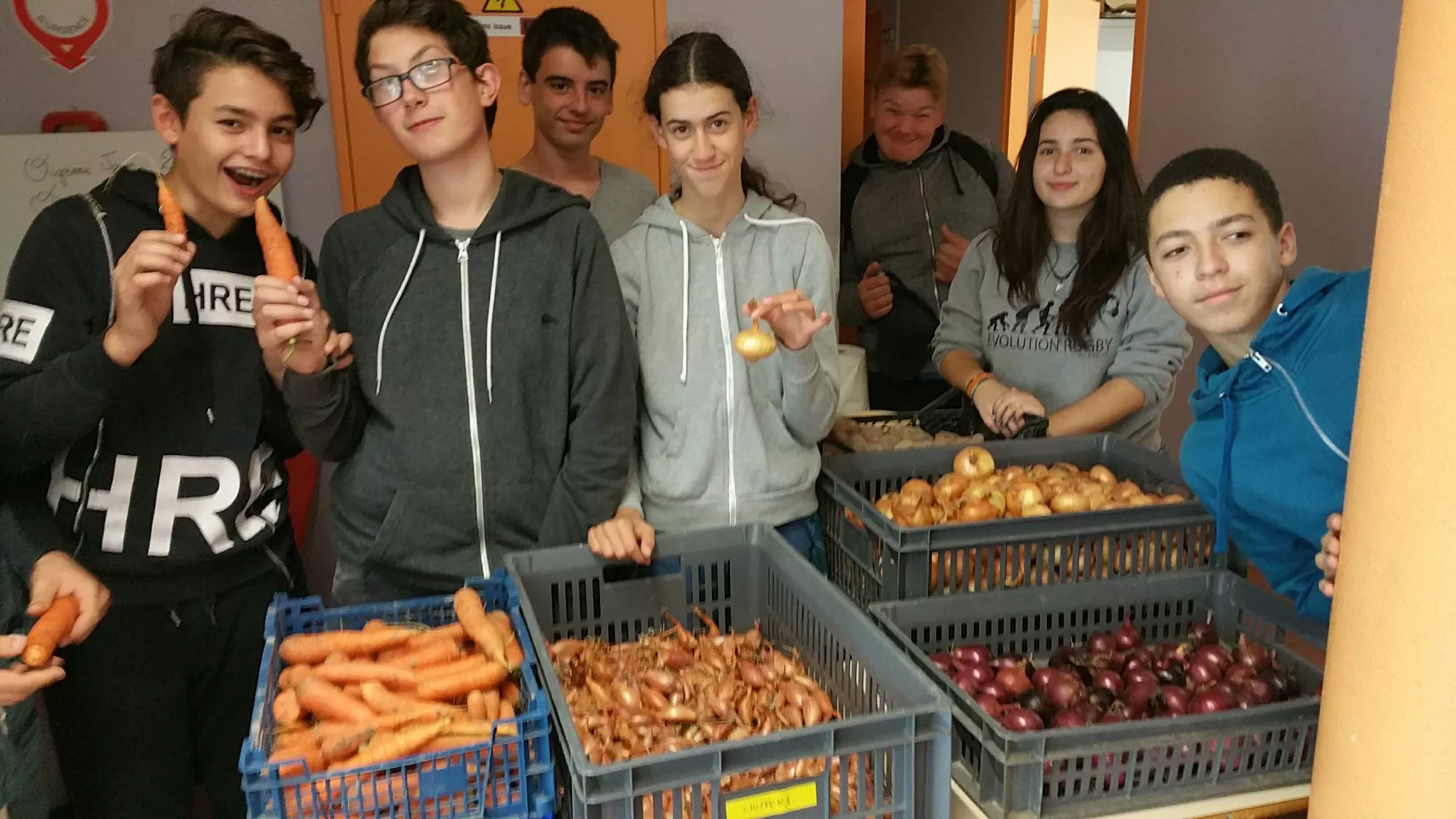 Activités potager collégiens 2018