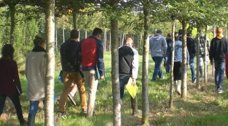 Visite des Pépinières de Violaine avec les 2nde pro