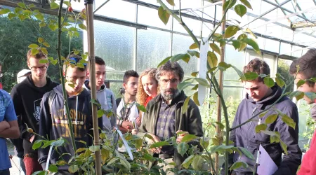 Voyage d'étude : la classe de Terminale Pro. en Belgique