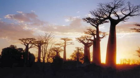 Voyage à Madagascar