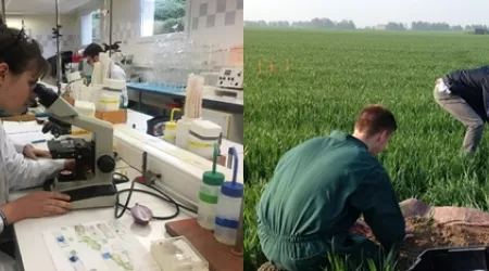 VIDEO : Découvrez nos formations...