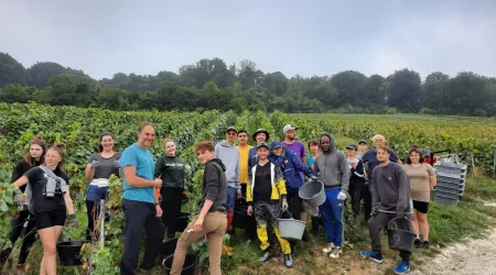 Les étudiants en vendanges !