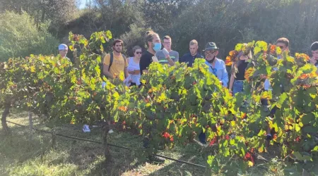 Voyages d'études en Espagne BTS ACSE