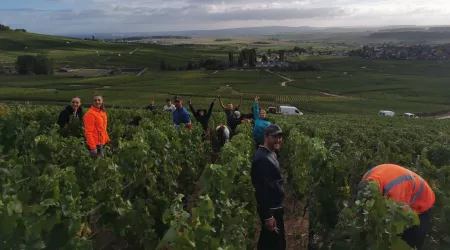 Vendanges 2022