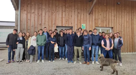 Stage territoire : étude de la fabrication du fromage