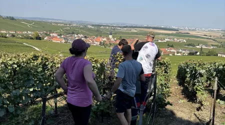 Les BTS en vendanges