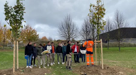 Chantier de plantation