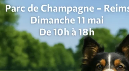 RDV Parc de Champagne dimanche 11 mai 