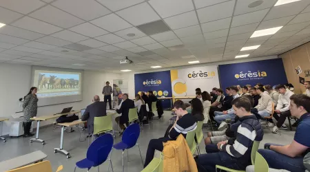 Participation des ACSE1 au Trophée IDEA