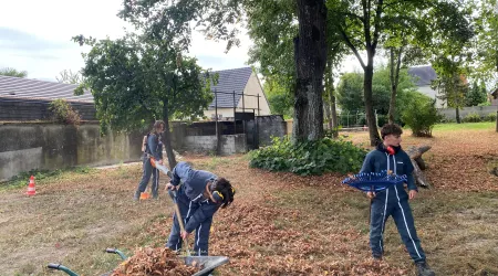 🍂  TP 2nde pro AP