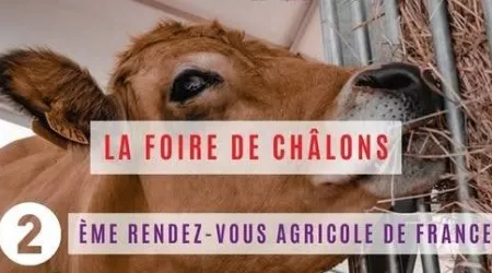 RDV Foire de Châlons !