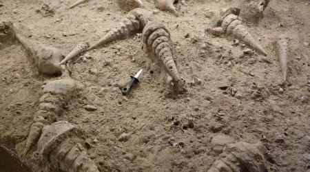 Visite de la Cave aux coquillages 2nde GT