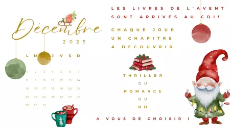 Les livres de l'avent sont arrivés au CDI 🎄