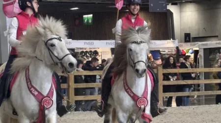 Visite au Salon du Cheval de Paris