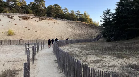 Course en forêt 2nde GT