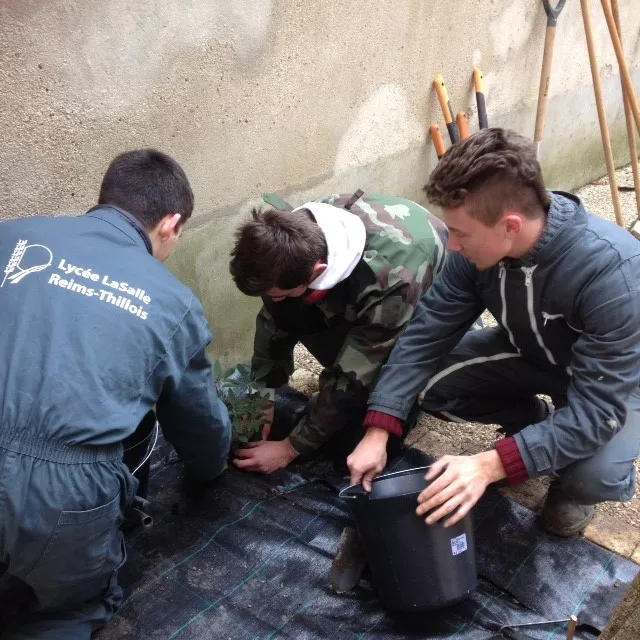 Aménagement de la cour de l'Hôtel de La Salle