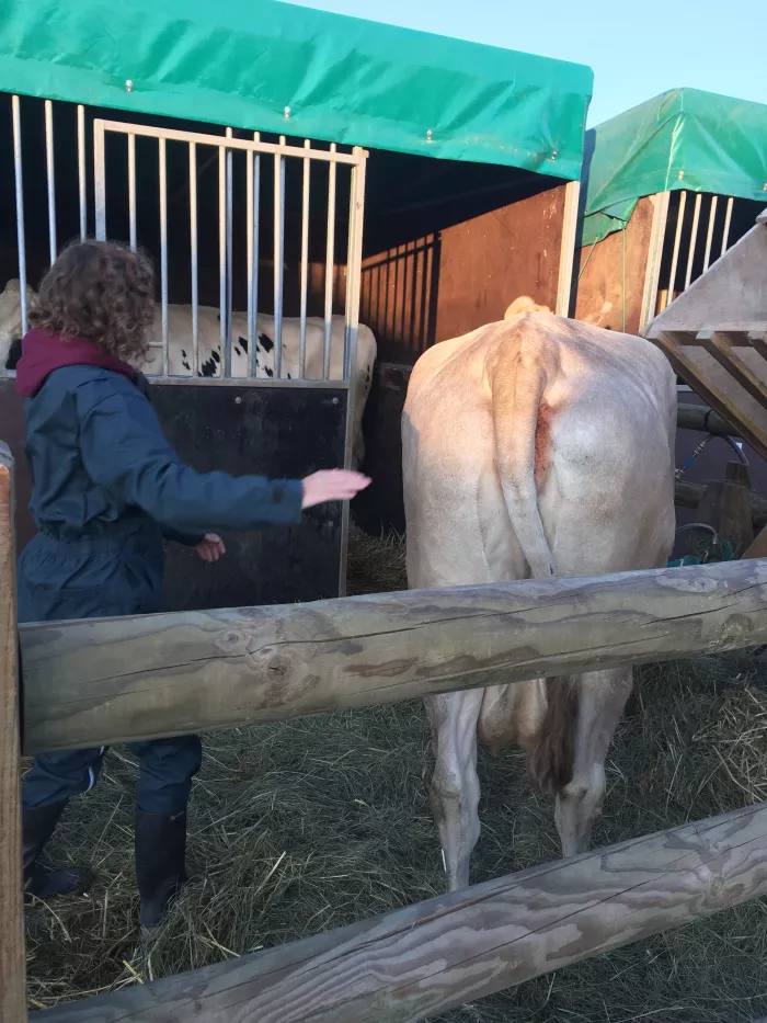 Nos élèves participent à la Foire de Châlons-en-Champagne