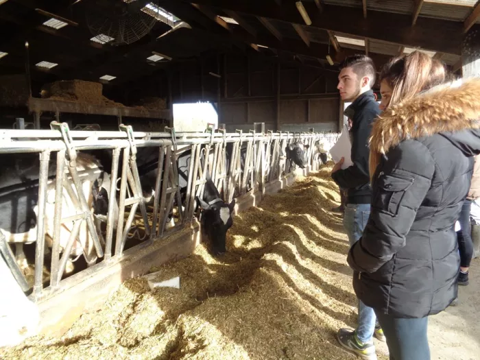 Les élèves de 1ère STAV étudient le territoire de Suippes…