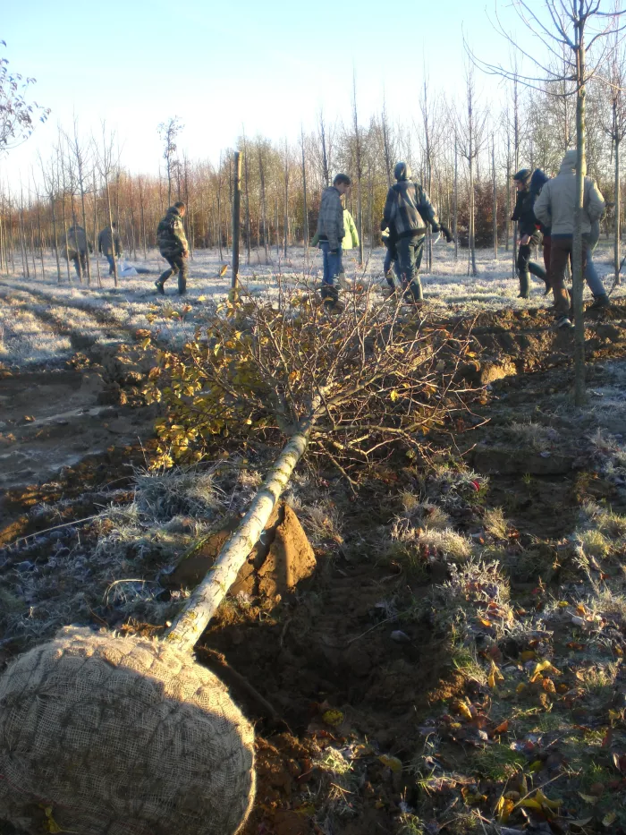 Visite des Pépinières à Maast et Violaine (02)