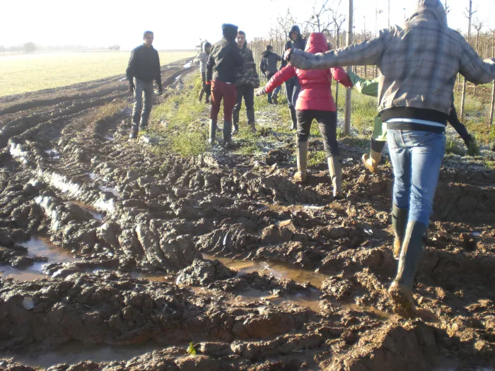 Visite des Pépinières à Maast et Violaine (02)