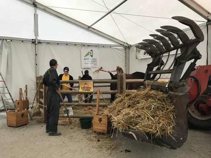 Nos élèves participent à la Foire de Châlons-en-Champagne