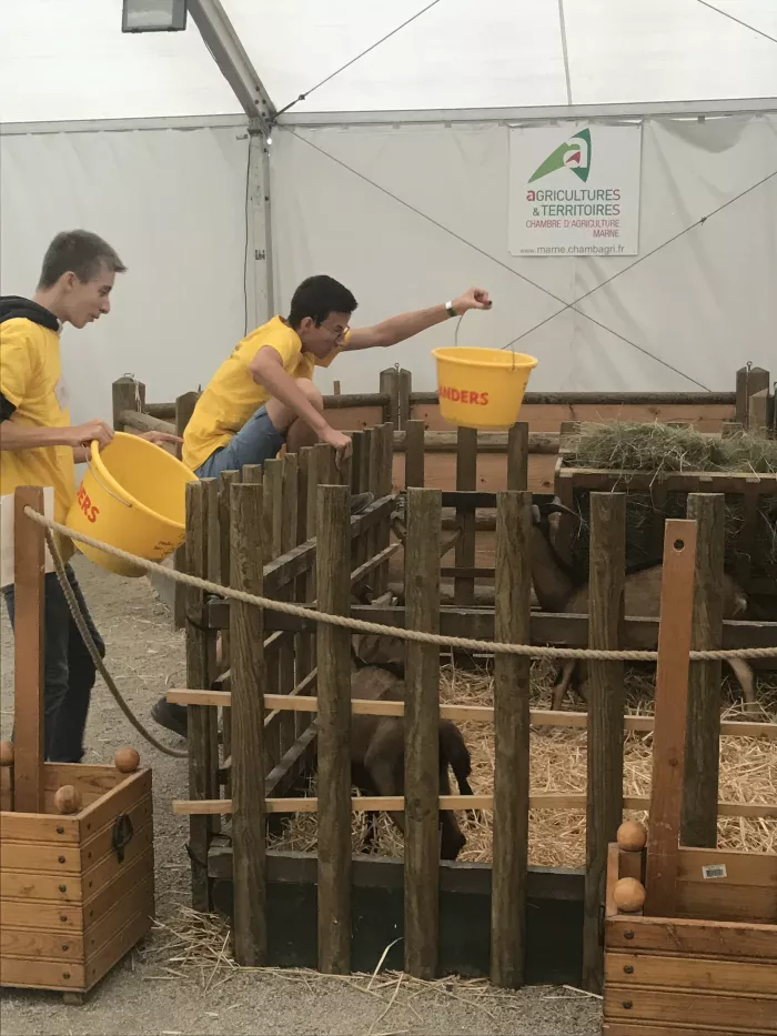 Nos élèves participent à la Foire de Châlons-en-Champagne