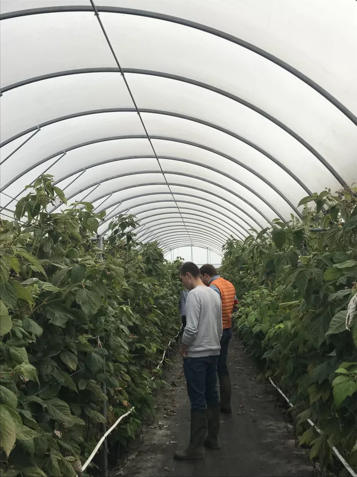 Les étudiants en 2ème année de BTSA ACSE visitent l’exploitation de M. Demoury