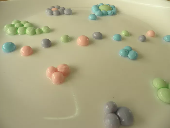 La cuisine moléculaire en BTS ANABIOTEC