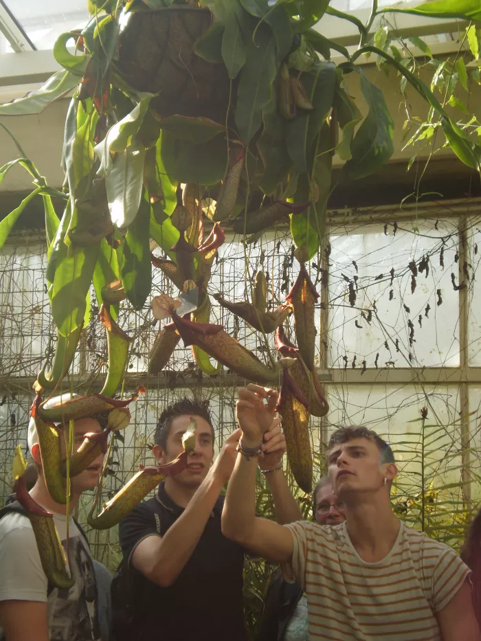 Les élèves de Terminale Professionnelle en Voyage d'Etude