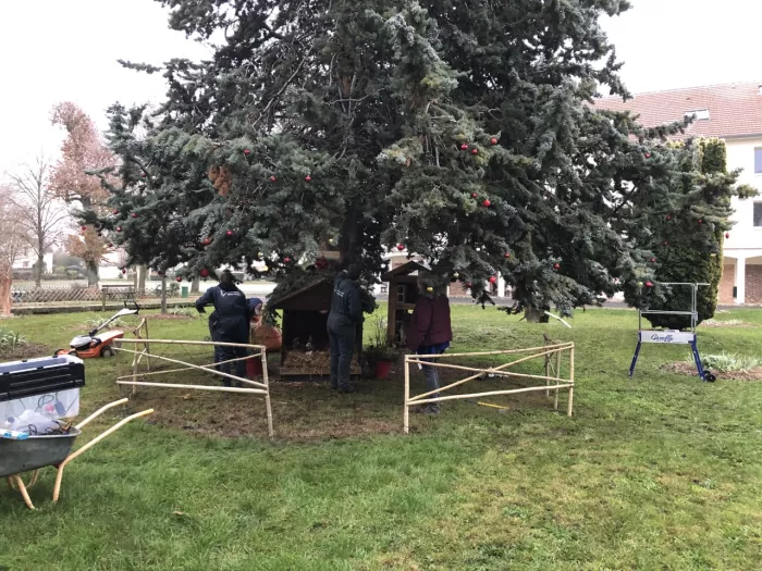 Installation de la crèche...