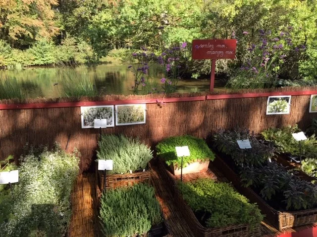 Une journée à la Fête des plantes d'automne...
