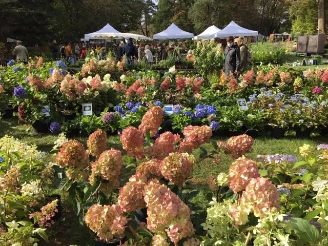 Une journée à la Fête des plantes d'automne...