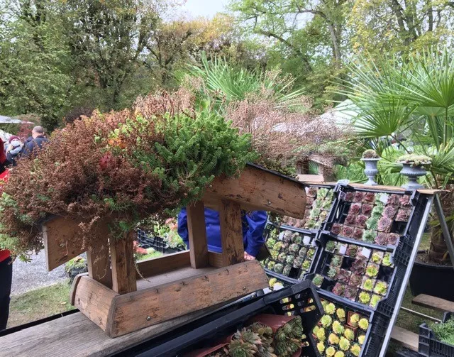 Une journée à la Fête des plantes d'automne...