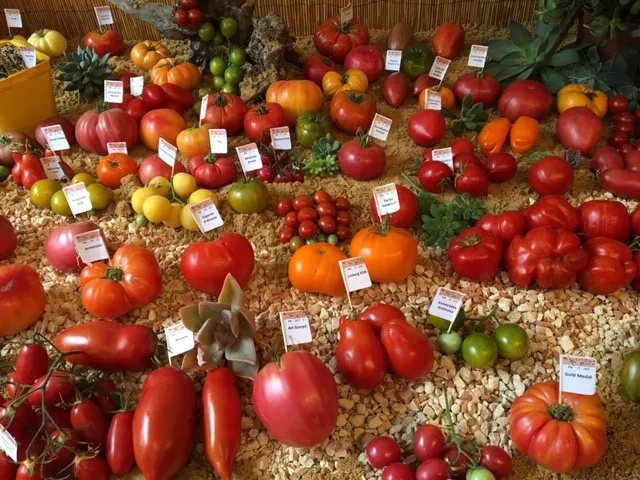 Une journée à la Fête des plantes d'automne...
