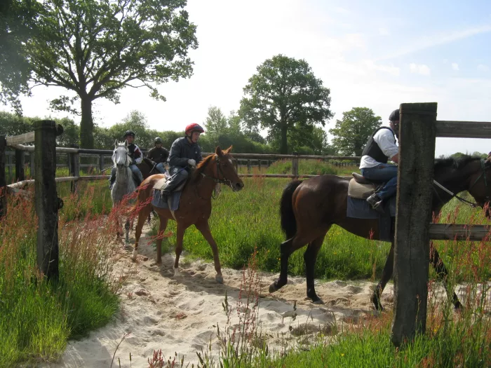 L'option équitation en pratique...