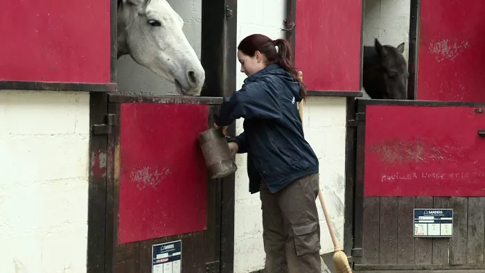 L'option équitation en pratique...