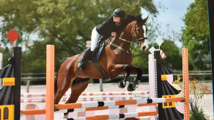 L'option équitation en pratique...