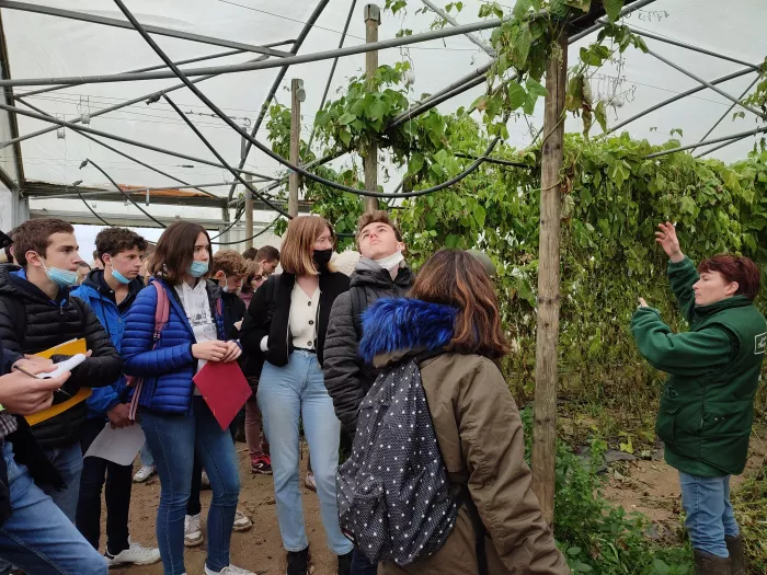 Stage Territoire TSTAV et 2nde GT 